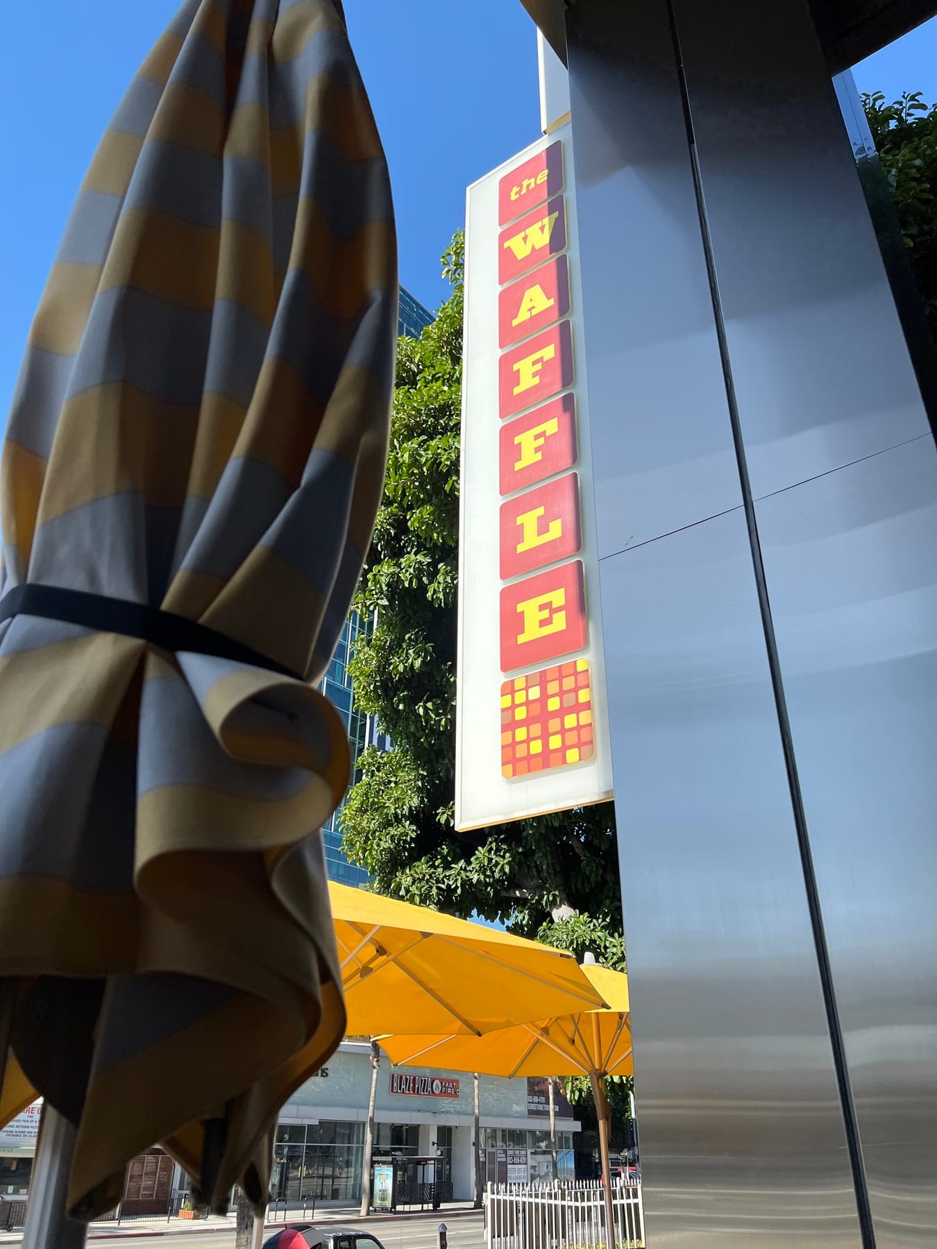 Brunch on Sunset! Met a lovely chatty lady at a neighboring table who bought us a drink. Profession of said lady is up i