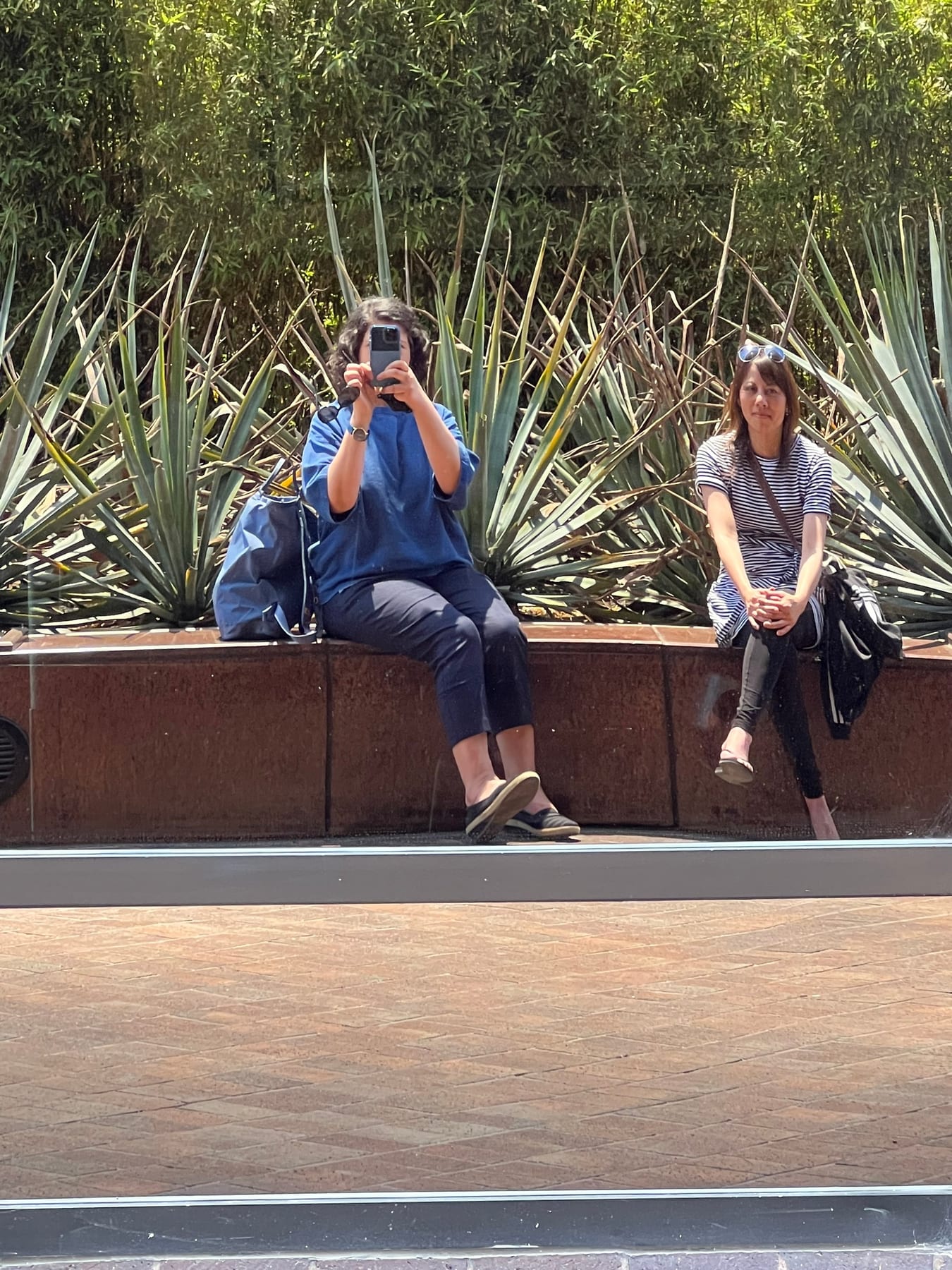 Reflection in mirrored windows…waiting for an Uber and trying not to think about the heat.