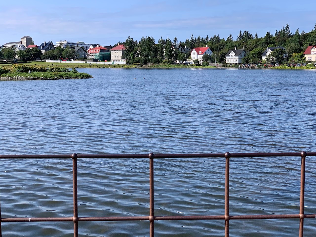 The pond in Reykjavik. Our guide said it used to be bigger but the city built up around it in order to control flooding