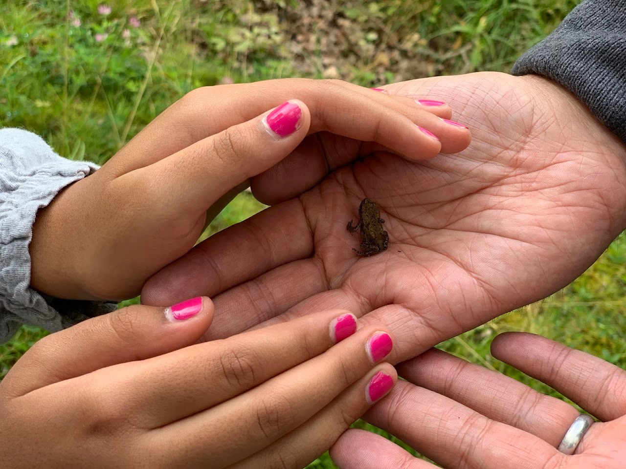We found a little friend...Casey is an expert frog-catcher.