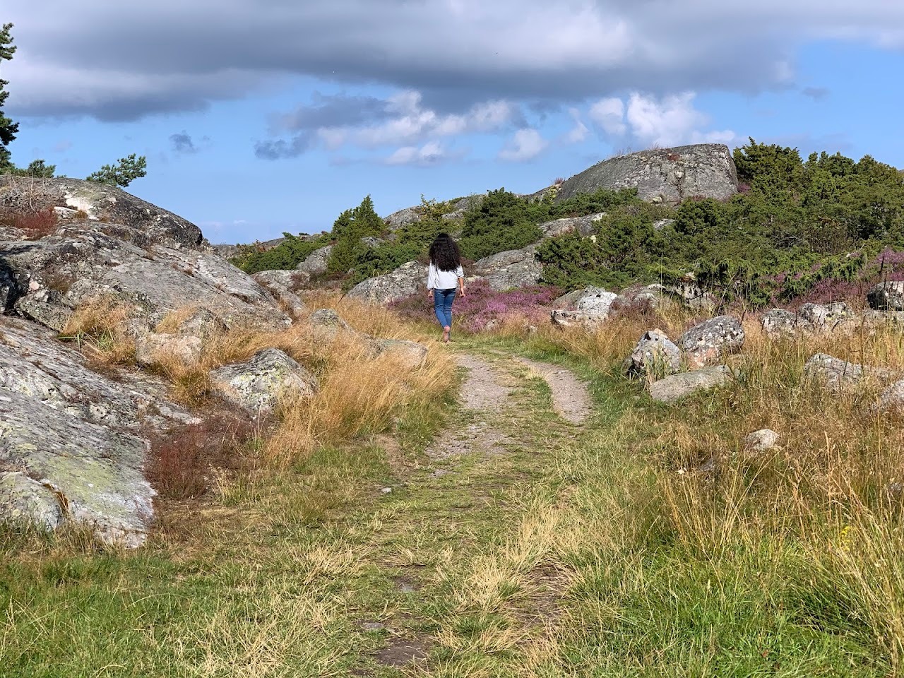 It was so beautiful! There were lots of wild flowers and tall grasses, as well as some goats grazing in the distance.Ann