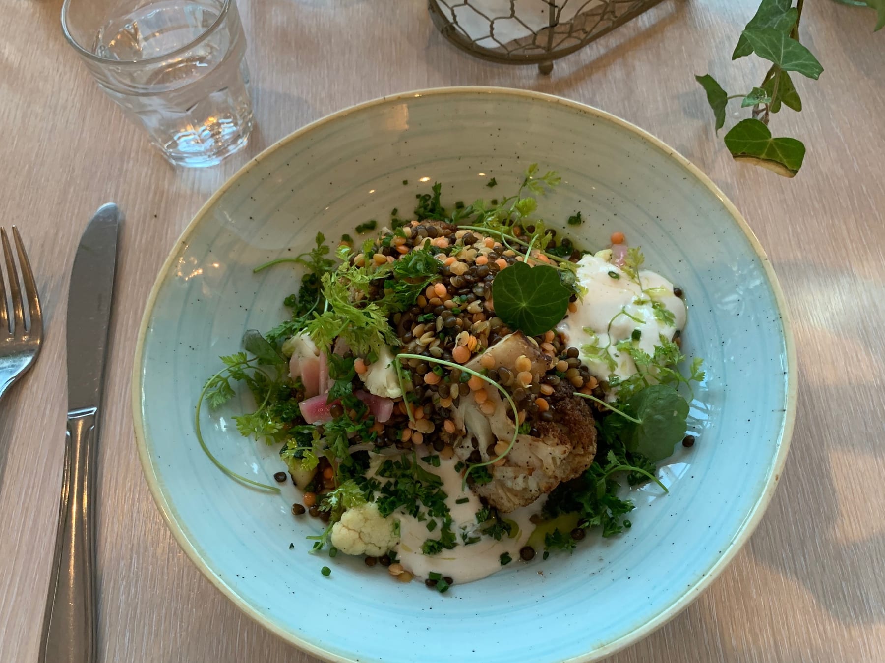 I had the “garden” plate with lentils, roasted cauliflower, yogurt, and beets. It was very tasty and I felt very virtuou